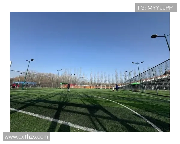 陈秀英独家揭秘足球技巧与心得分享助你提升球技与战术理解